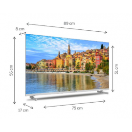 Thomson TV Google 40" FHD 40FG2S14W