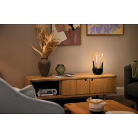 Stadler Form Υγραντήρας με εφέ φλόγας Sophie