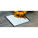 Acrilan Ανοξείδωτη Σχάρα Δαπέδου με Μέγεθος 15x15εκ. Ασημί