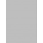 Astral Pool Μεμβάνη Πισίνας Light Grey 1 Ρολό 41,25m2 (86957)