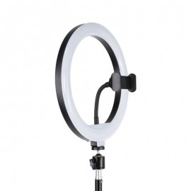 Havit RGB Ring Light ST7026 26cm με Τρίποδο Δαπέδου και Βάση για Κινητό