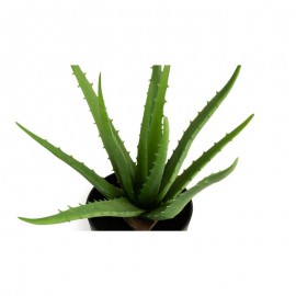 Τεχνητό Φυτό Aloe Vera 36 cm Inkazen 40081834..