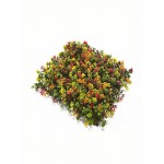 Newplan Συνθετικό Πάνελ Φυλλωσιάς 50x50cm