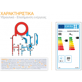 Λέβητας Αερίου Ferroli BlueHelix Prima 24c